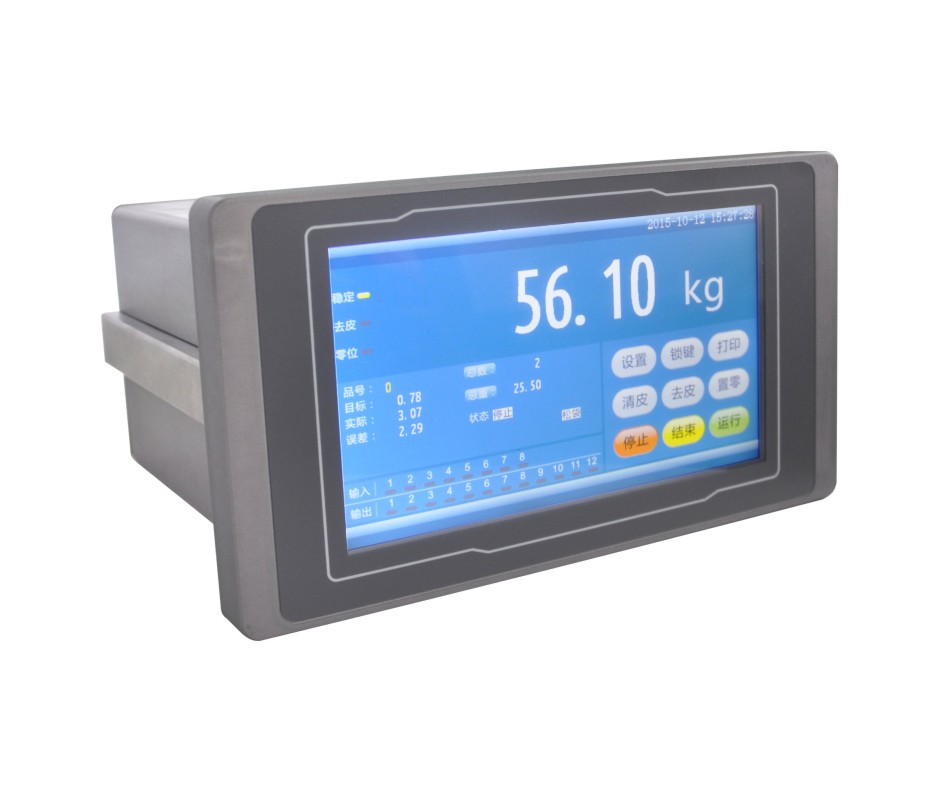 仪表 R56.10
