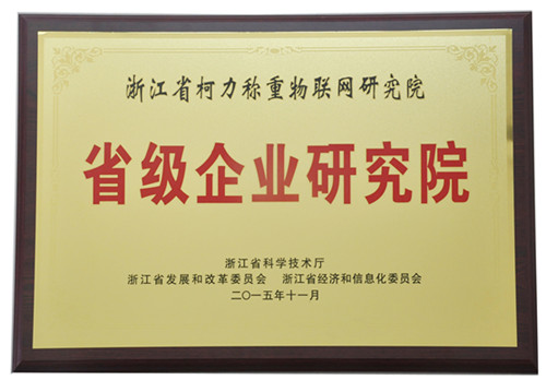 公司称重物联网研究院荣获“浙江省省级企业研究院”