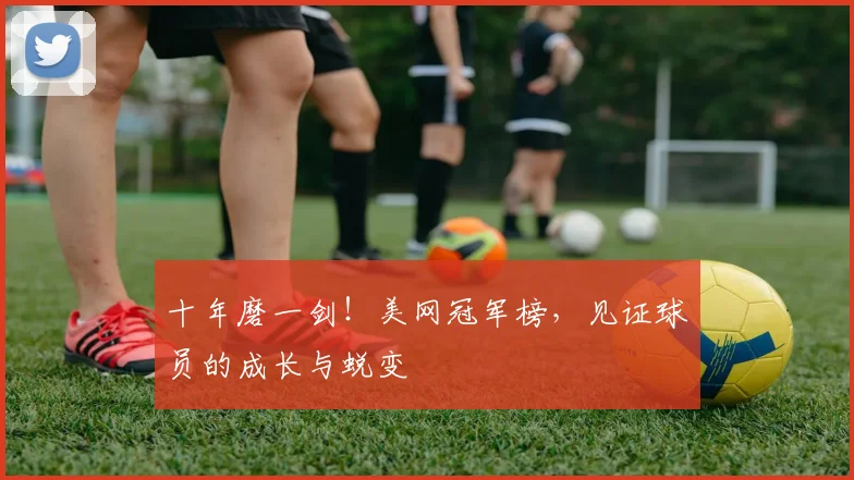 十年磨一剑！美网冠军榜，见证球员的成长与蜕变