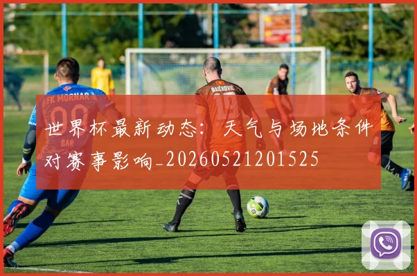 世界杯最新动态：天气与场地条件对赛事影响_20260521201525