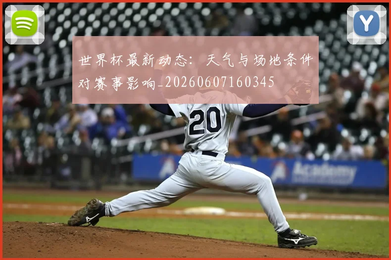 世界杯最新动态：天气与场地条件对赛事影响_20260607160345