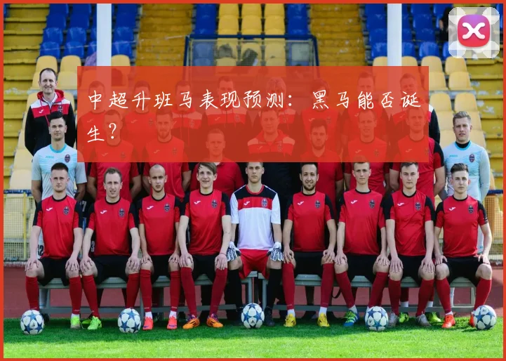 中超升班马表现预测:黑马能否诞生?