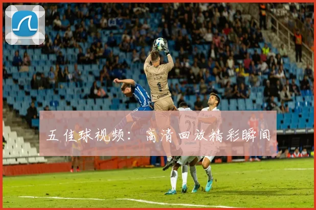 五佳球视频:高清回放精彩瞬间